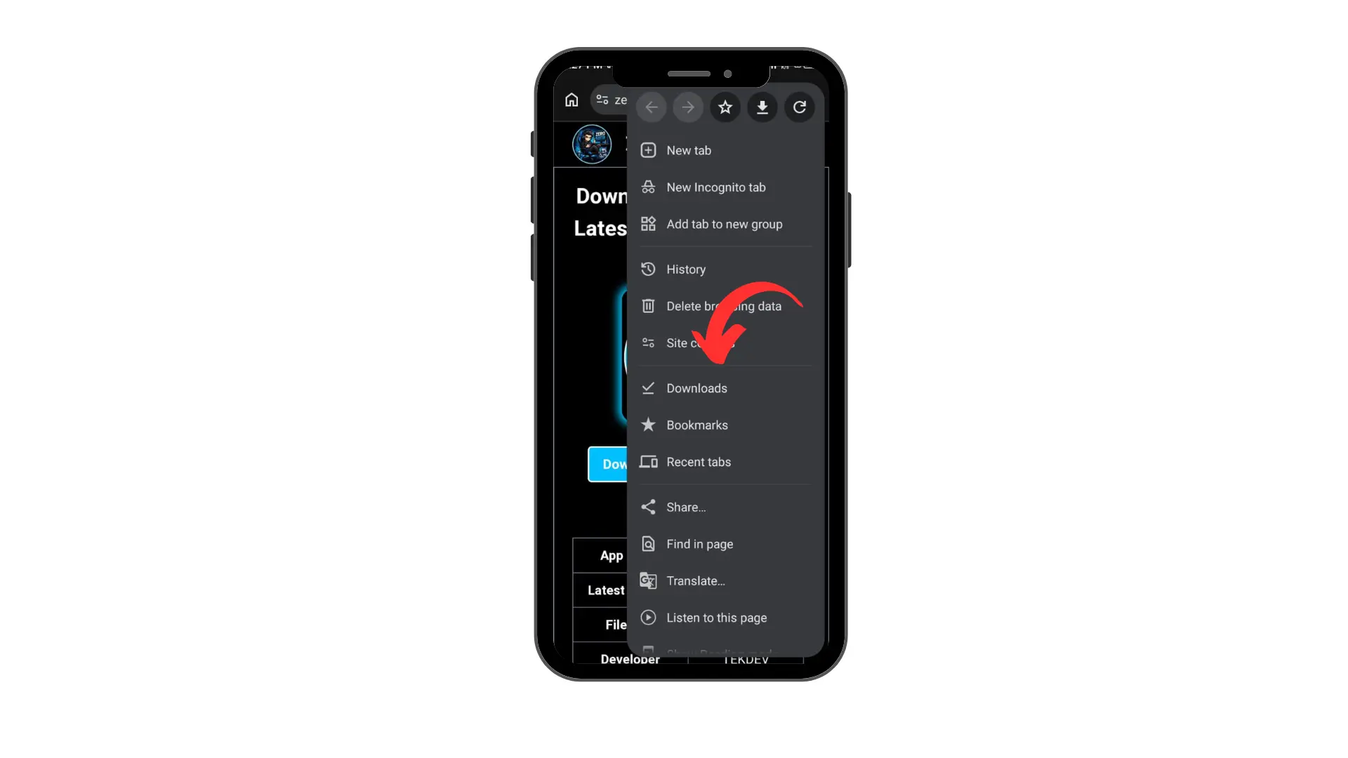 Download ZERO Injector Latest Mod APK 2026 Unlock All Skins 7 Downloads folder 2